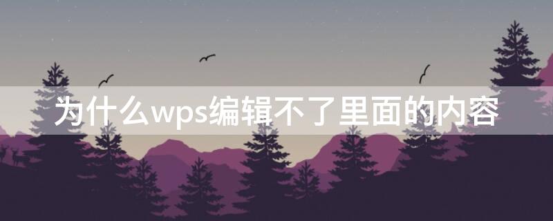 为什么wps编辑不了里面的内容（wps为什么编辑不了文字）