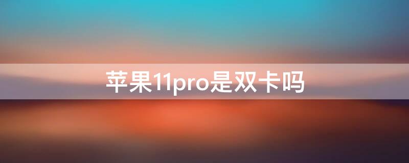 iPhone11pro是双卡吗（iphone11pro是双卡双待嘛）