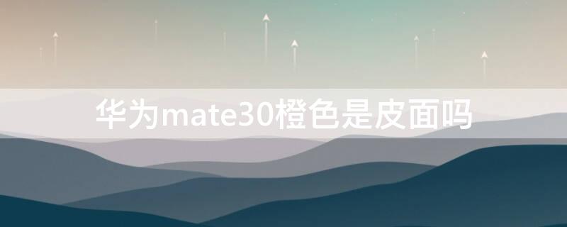 华为mate30橙色是皮面吗（mate30橙色好看吗）