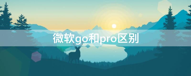 微软go和pro区别（微软go和pro4哪个好）