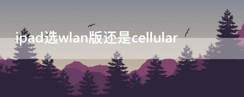 ipad选wlan版还是cellular ipadwifi版好还是cellular版好