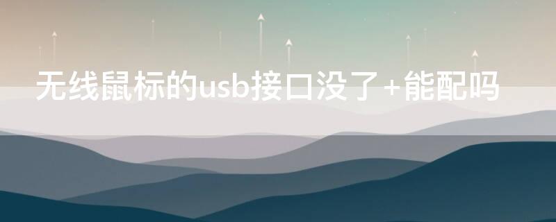 无线鼠标的usb接口没了 无线鼠标的usb接口没了 能配吗