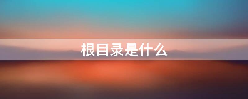 根目录是什么（下载根目录是什么）