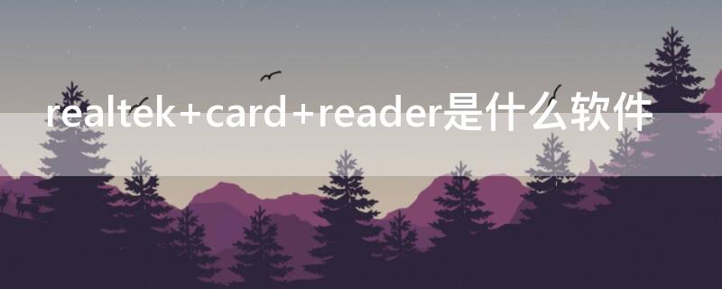 realtek card reader是什么软件