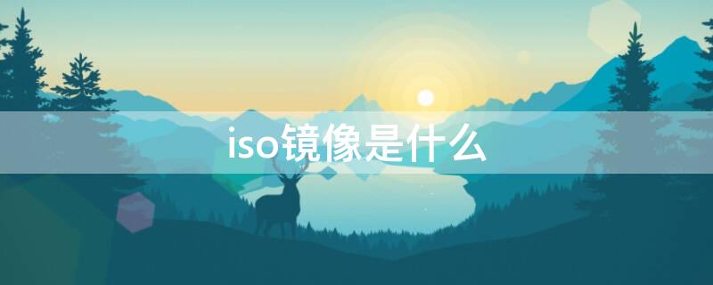 iso镜像是什么（什么叫iso镜像文件）