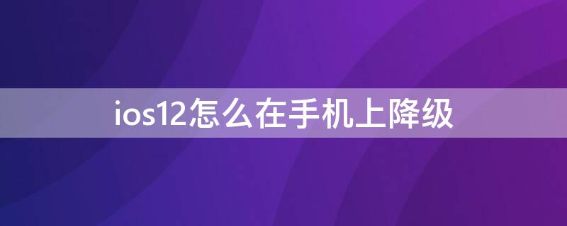 ios12怎么在手机上降级 iphone12怎么降级