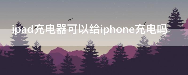 ipad充电器可以给iPhone充电吗 ipad充电器可以充iphone吗 知乎