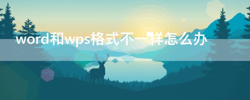 word和wps格式不一样怎么办（为什么老师说尽量别用wps）