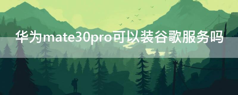 华为mate30pro可以装谷歌服务吗（华为mate30pro能安装谷歌商店吗）