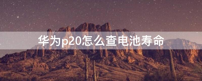 华为p20怎么查电池寿命（华为p20如何查看电池寿命）