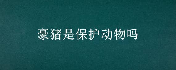 豪猪是保护动物吗 野生豪猪是保护动物吗