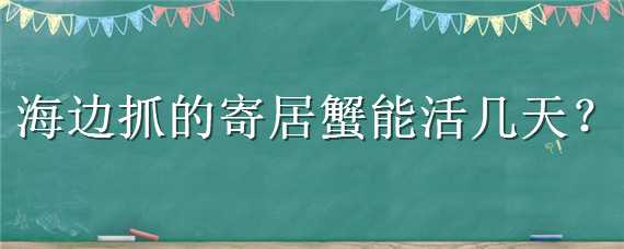 海边抓的寄居蟹能活几天（海里抓的寄居蟹可以养多久）