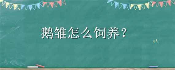 鹅雏怎么饲养（鹅苗怎么养）