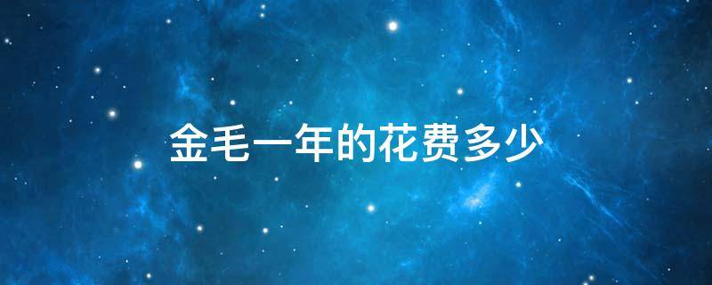 金毛一年的花费多少（金毛犬一年得多少费用）