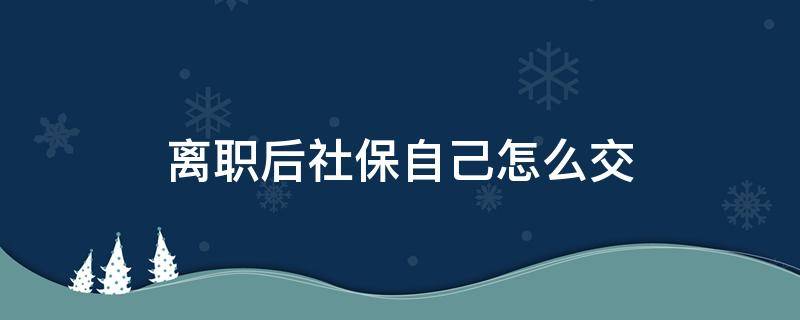 离职后社保自己怎么交（离职后社保自己怎么交,离职单位要转移什么手续）