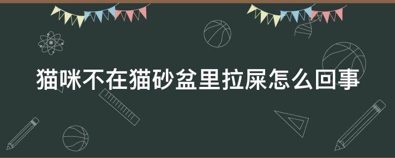 猫咪不在猫砂盆里拉屎怎么回事（猫咪不在猫砂盆里拉屎怎么回事,只拉尿）