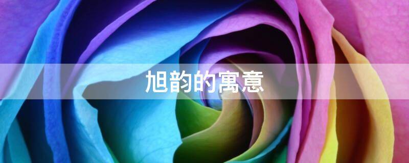 旭韵的寓意（旭的押韵字）