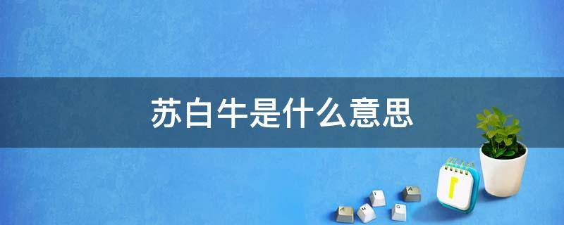 苏白牛是什么意思 苏白牛肉是什么意思