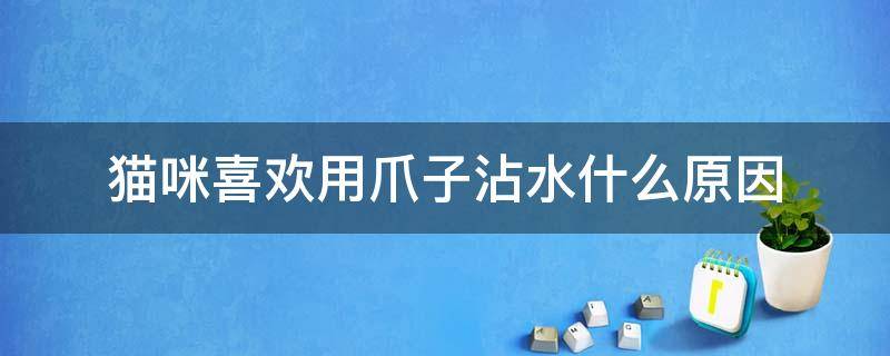 猫咪喜欢用爪子沾水什么原因 猫咪喜欢用爪子沾水什么原因造成的