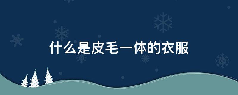 什么是皮毛一体的衣服 什么是皮毛一体的衣服是真毛