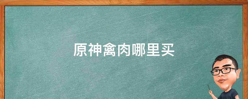 原神禽肉哪里买 原神禽肉在哪里购买