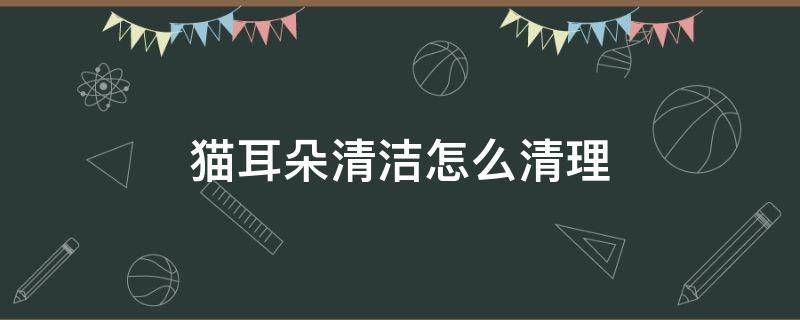 猫耳朵清洁怎么清理 猫耳朵如何清洁