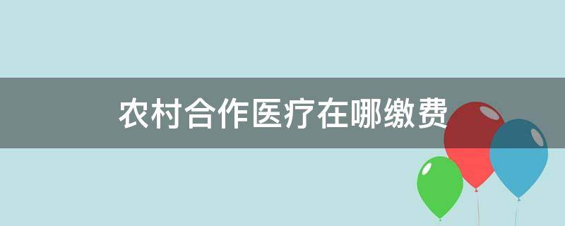 农村合作医疗在哪缴费 江都农村合作医疗在哪缴费