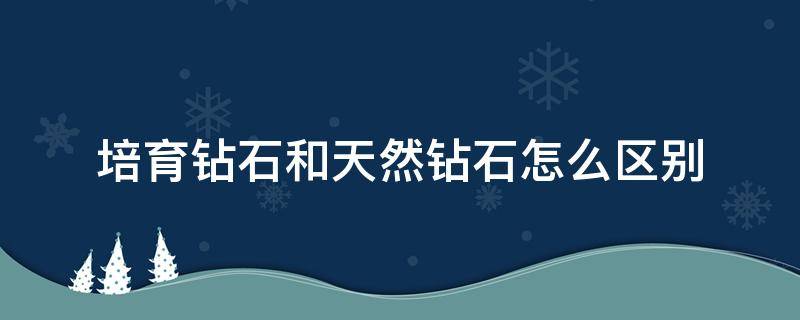 培育钻石和天然钻石怎么区别 培育钻石和天然钻石有什么区别