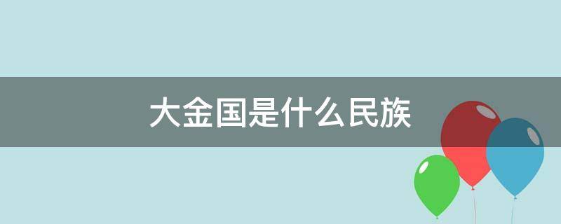 大金国是什么民族（以前的大金国是什么民族）