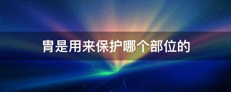 胄是用来保护哪个部位的 胄是指哪个部位