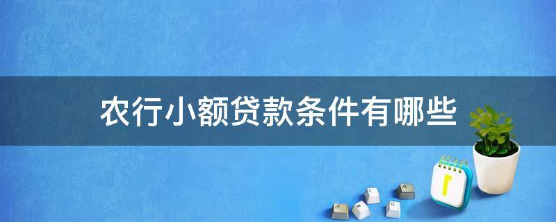 农行小额贷款条件有哪些（农行小额贷款条件有哪些内容）