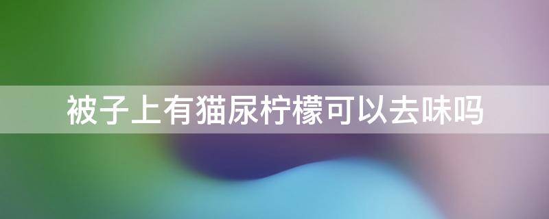 被子上有猫尿柠檬可以去味吗 被芯上有猫尿