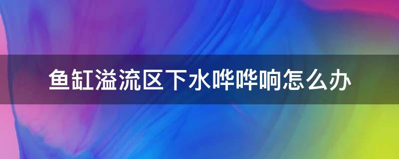 鱼缸溢流区下水哗哗响怎么办（鱼缸溢流区下水哗哗响怎么办视频）