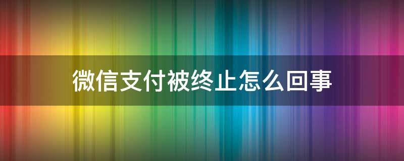 微信支付被终止怎么回事（微信支付被终止支付,是以后都不能用吗）