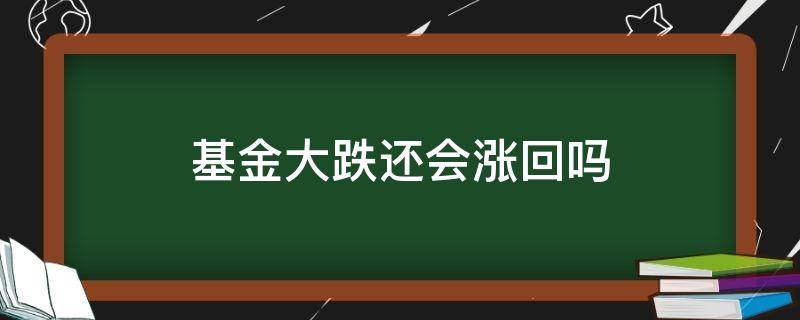 基金大跌还会涨回吗 基金大跌还会涨回吗现在