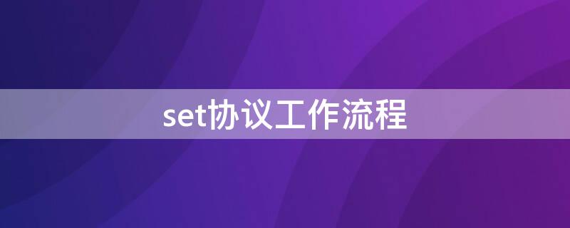 set协议工作流程（set协议流程图）