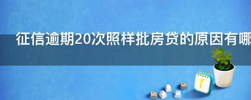 征信逾期20次照样批房贷的原因有哪些（征信逾期20次还能买房吗）