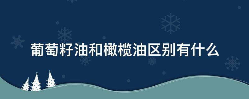 葡萄籽油和橄榄油区别有什么 葡萄籽油和橄榄油区别有什么作用