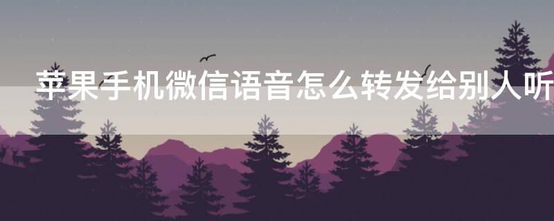 iPhone手机微信语音怎么转发给别人听（苹果手机微信语音怎么转发给别人听）