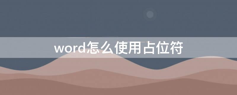 word怎么使用占位符（word占位符怎么设置）