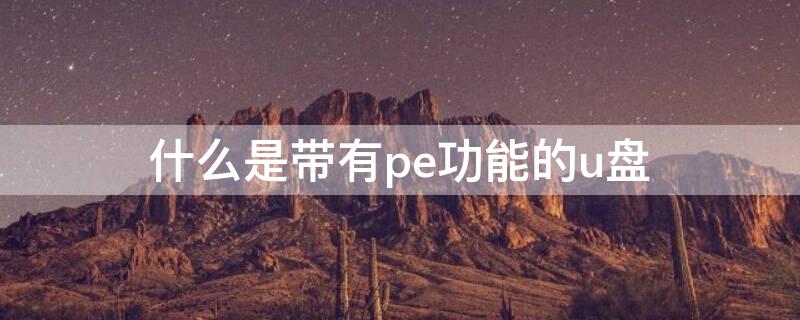 什么是带有pe功能的u盘（带pe系统的u盘）