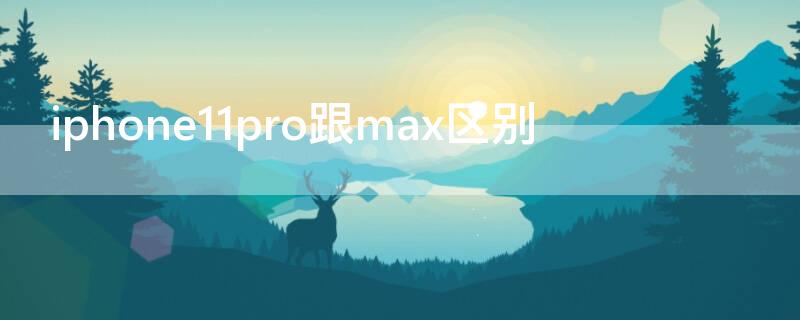 iPhone11pro跟max区别（iphone1111pro和max的区别）