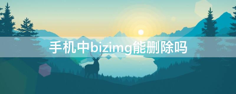 手机中bizimg能删除吗