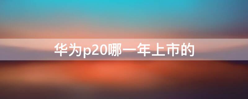 华为p20哪一年上市的（华为p20哪一年上市的时间）