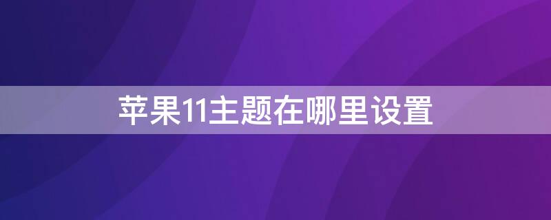 iPhone11主题在哪里设置（苹果11主题设置在哪里）