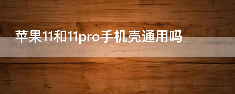 iPhone11和11pro手机壳通用吗 iphone11和11pro的手机壳通用吗