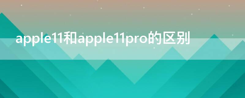 apple11和apple11pro的区别 apple11与apple11pro区别