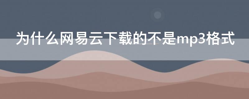 为什么网易云下载的不是mp3格式（为什么网易云下载的不是mp3格式手机）