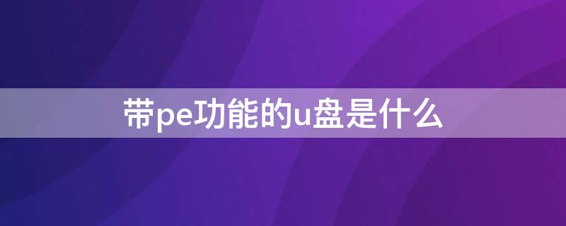 带pe功能的u盘是什么 带pe功能的u盘是什么格式