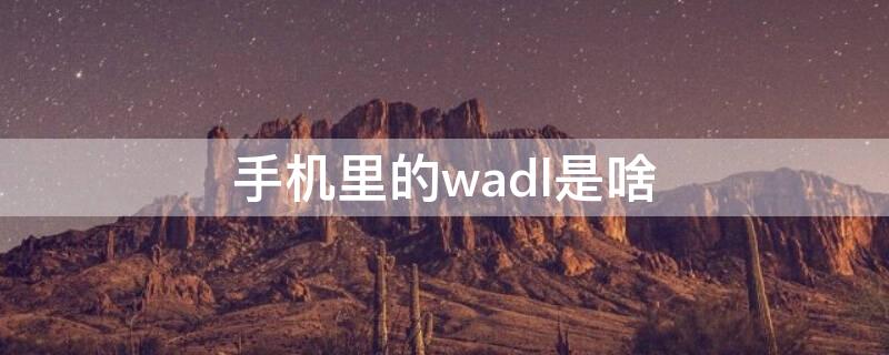 手机里的wadl是啥（手机中的wapl是什么）